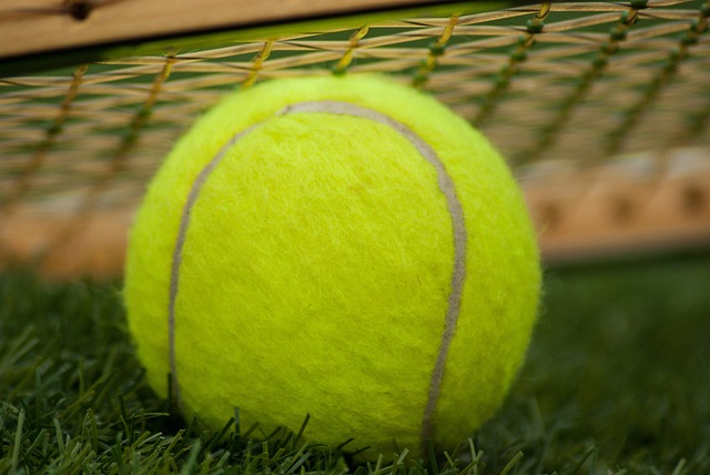 Piłki tenisowe – jakie są ich główne rodzaje i jak się je dobiera?